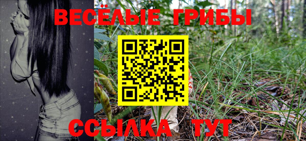 Псилоцибиновые грибы Psilocybine cubensis Краснознаменск